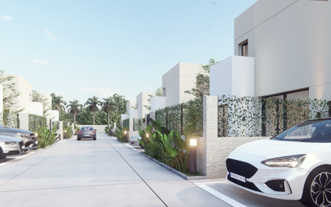 Image Not Found On Media Library